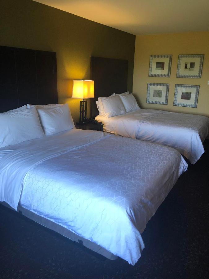 Holiday Inn Express Hotel & Suites Lansing-Dimondale, An Ihg Hotel Exterior photo
